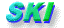 �X�L�[�p�i
